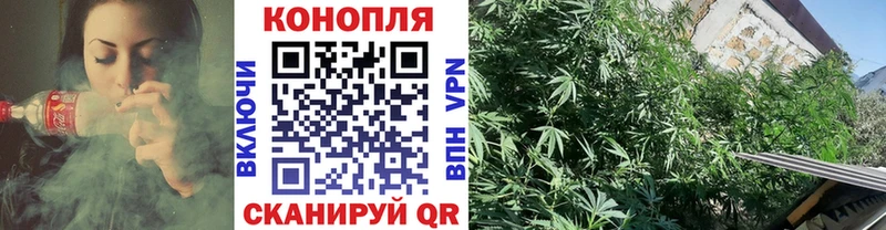 Конопля конопля  Лакинск 
